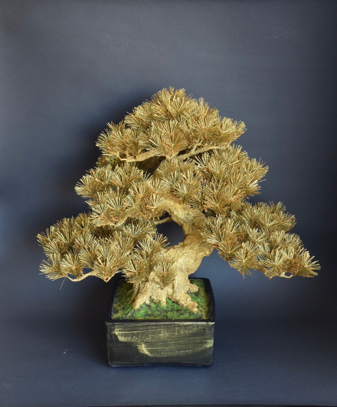 Golden Bonsai